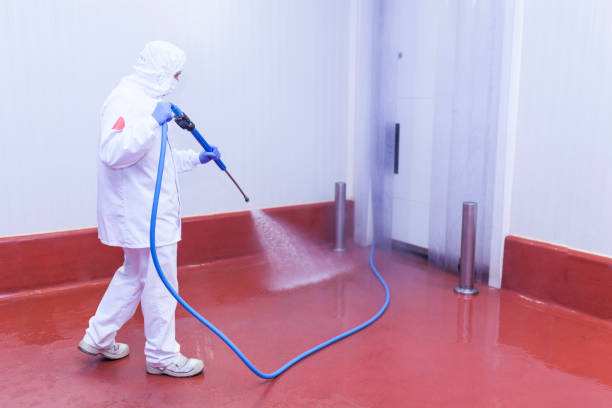 Reliable Manchester, GA Pressure Washing Services Solutions